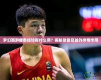 夢幻西游儲備經(jīng)驗有什么用？揭秘儲備經(jīng)驗的神奇作用