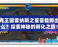 洛克王國雷納斯之蛋蛋能孵出什么？探索神秘的孵化之旅！