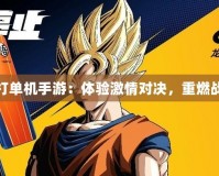 龍珠對打單機(jī)手游：體驗(yàn)激情對決，重燃戰(zhàn)斗夢想