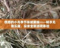 憤怒的小鳥季節(jié)版破解版——暢享無限樂趣，探索全新游戲體驗(yàn)