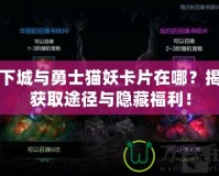 地下城與勇士貓妖卡片在哪？揭秘獲取途徑與隱藏福利！