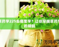 草藥學(xué)225去哪里學(xué)？讓你掌握草藥學(xué)的精髓