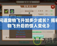 《問道寵物飛升加多少成長？揭秘寵物飛升后的驚人變化》
