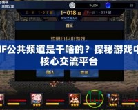 DNF公共頻道是干啥的？探秘游戲中的核心交流平臺