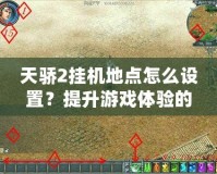天驕2掛機地點怎么設置？提升游戲體驗的技巧與建議