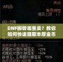 DNF搬磚哪里賣？教你如何快速賺取豐厚金幣，輕松變身游戲大佬！