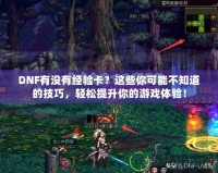 DNF有沒有經(jīng)驗卡？這些你可能不知道的技巧，輕松提升你的游戲體驗！