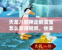 天龍八部神企鵝寶寶怎么獲得視頻，快來一探究竟！