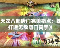 《天龍八部唐門(mén)完美指點(diǎn)：如何打造無(wú)敵唐門(mén)高手》