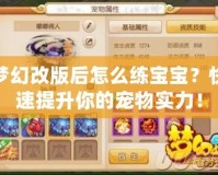 夢幻改版后怎么練寶寶？快速提升你的寵物實(shí)力！