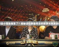 聯(lián)盟小蒼去哪里了？揭秘這位英雄背后的故事與未來動態(tài)