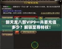 新天龍八部VIP9一共要充值多少？解鎖至尊特權(quán)！