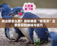 胖企鵝怎么抓？揭秘捕捉“懶洋洋”企鵝背后的趣味與技巧