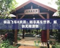 極品飛車8資源：暢享賽車世界，解鎖無(wú)限激情