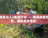 捕魚達(dá)人2魚類介紹——暢游海底世界，捕獲更多驚喜！
