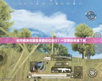 和平精英在哪里查看段位排行？一文帶你快速了解