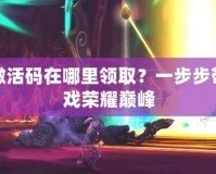 征途永恒激活碼在哪里領(lǐng)??？一步步帶你走向游戲榮耀巔峰