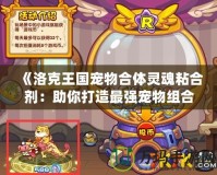 《洛克王國(guó)寵物合體靈魂粘合劑：助你打造最強(qiáng)寵物組合》
