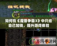 如何在《魔獸爭霸3》中只給自己加錢，提升游戲體驗