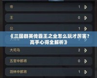 《三國(guó)群英傳霸王之業(yè)怎么玩才厲害？高手心得全解析》