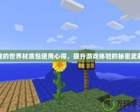 我的世界材質(zhì)包使用心得，提升游戲體驗(yàn)的秘密武器