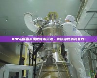 DNF無(wú)限貓頭鷹的神奇用途，解鎖你的游戲潛力！