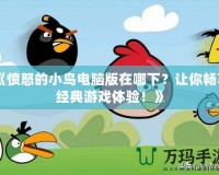 《憤怒的小鳥(niǎo)電腦版在哪下？讓你暢享經(jīng)典游戲體驗(yàn)！》