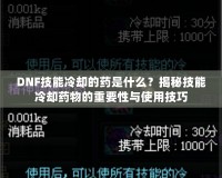 DNF技能冷卻的藥是什么？揭秘技能冷卻藥物的重要性與使用技巧