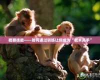 棍猴技能——如何通過(guò)訓(xùn)練讓你成為“棍術(shù)高手”