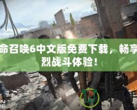 使命召喚6中文版免費下載，暢享激烈戰(zhàn)斗體驗！