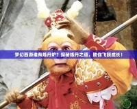 夢幻西游誰有煉丹爐？探秘煉丹之道，助你飛躍成長！