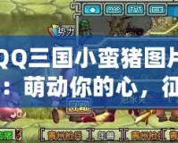 QQ三國小蠻豬圖片：萌動你的心，征服你的眼