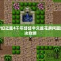 夢(mèng)幻之星4千年終結(jié)中文版花屏問(wèn)題解決攻略