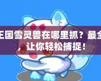 洛克王國雪靈獸在哪里抓？最全攻略，讓你輕松捕捉！