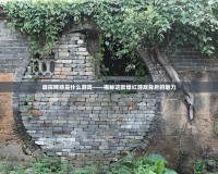 麻探網(wǎng)絡是什么游戲——揭秘這款爆紅游戲背后的魅力