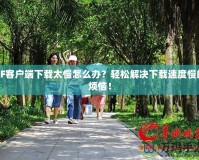 CF客戶端下載太慢怎么辦？輕松解決下載速度慢的煩惱！