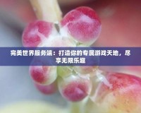 完美世界服務(wù)端：打造你的專屬游戲天地，盡享無(wú)限樂趣