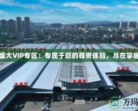 盛大VIP專區(qū)：專屬于您的尊貴體驗(yàn)，盡在掌握