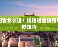 殘陽宮怎么進？揭秘進宮秘籍與絕妙技巧