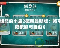 《憤怒的小鳥2破解最新版：暢享無(wú)限樂(lè)趣與自由》