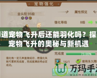 問道寵物飛升后還能羽化嗎？探索寵物飛升的奧秘與新機遇