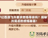 夢幻西游飛升要求修煉等級嗎？揭秘飛升背后的修煉秘籍！