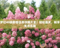 夢幻40級劇情任務(wù)攻略大全：輕松通關(guān)，暢享無盡樂趣