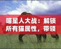 喵星人大戰(zhàn)：解鎖所有貓屬性，帶領(lǐng)貓咪軍團(tuán)制霸宇宙！