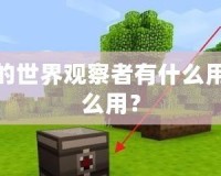 我的世界觀察者有什么用怎么用？