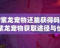DNF紫龍寵物還能獲得嗎？探秘紫龍寵物獲取途徑與價值