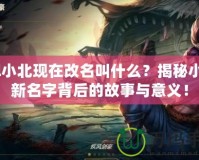lol小北現(xiàn)在改名叫什么？揭秘小北新名字背后的故事與意義！