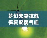 夢幻夫妻技能恢復(fù)配偶?xì)庋蛡麆荩瑪y手共度每個(gè)難關(guān)！