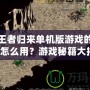 傳奇王者歸來單機(jī)版游戲的探測(cè)項(xiàng)鏈怎么用？游戲秘籍大揭秘！