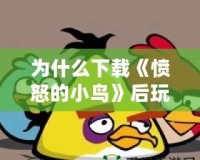 為什么下載《憤怒的小鳥》后玩不了？問題分析與解決方法